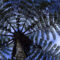 Farn Tree