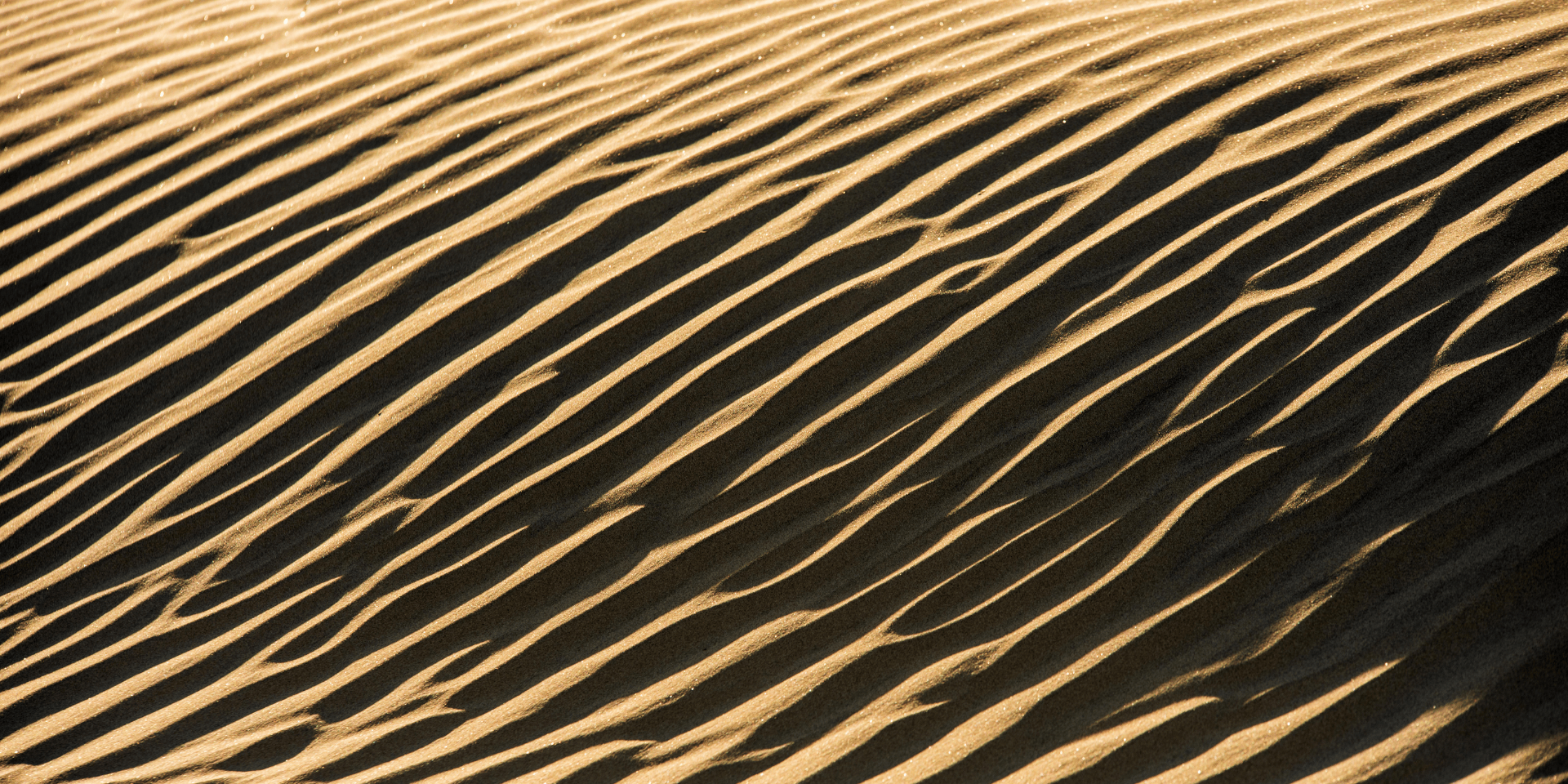 Being a PI is complex