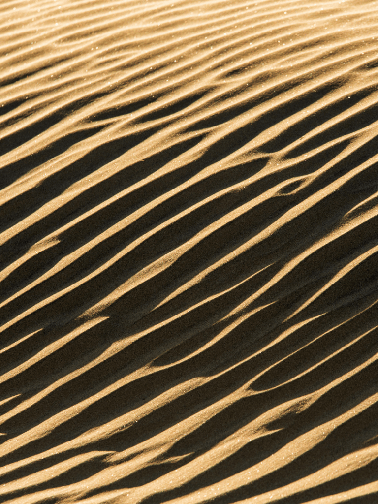 Being a PI is complex